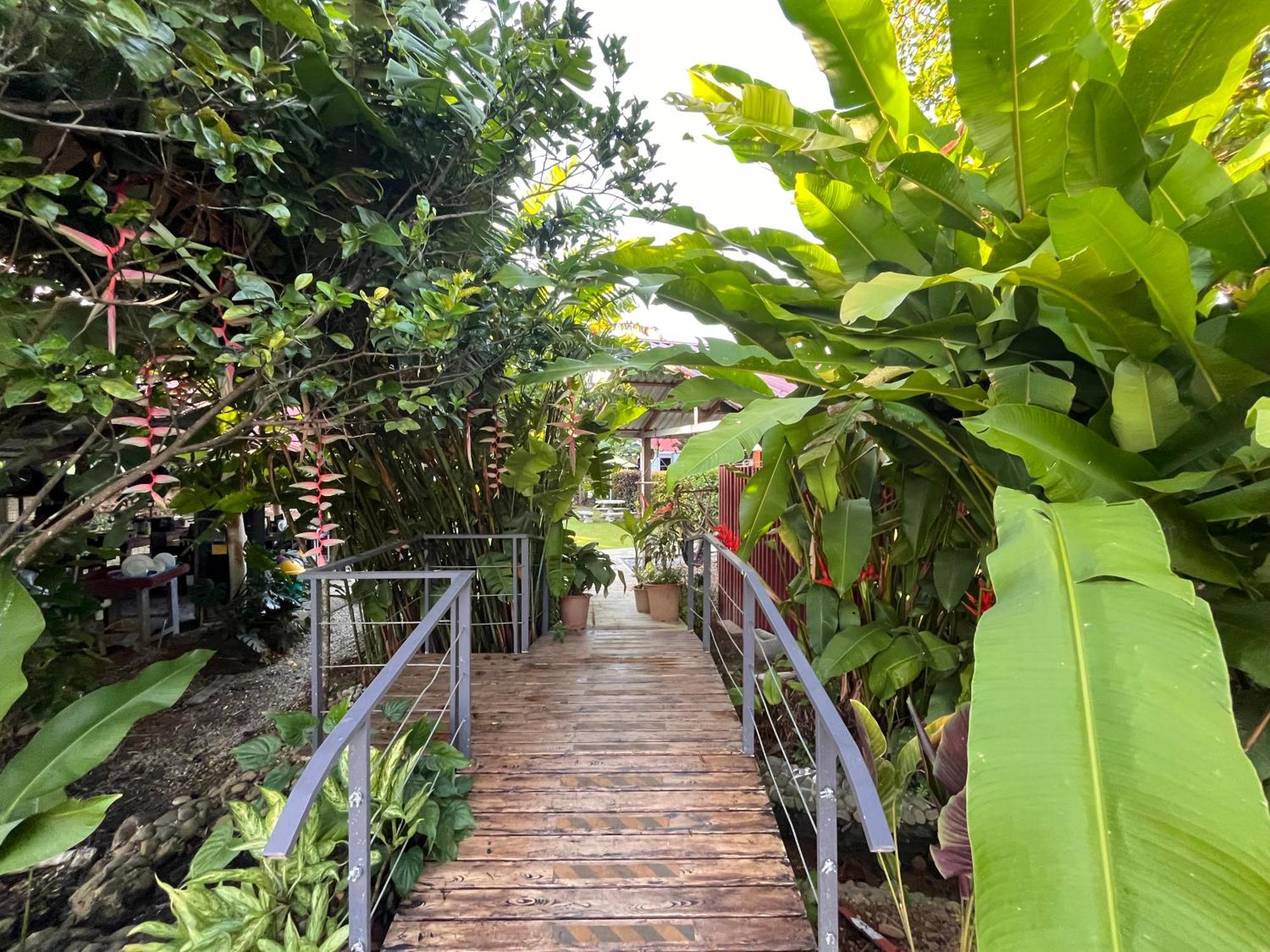 Hotel Sueños de María Uvita Exterior foto